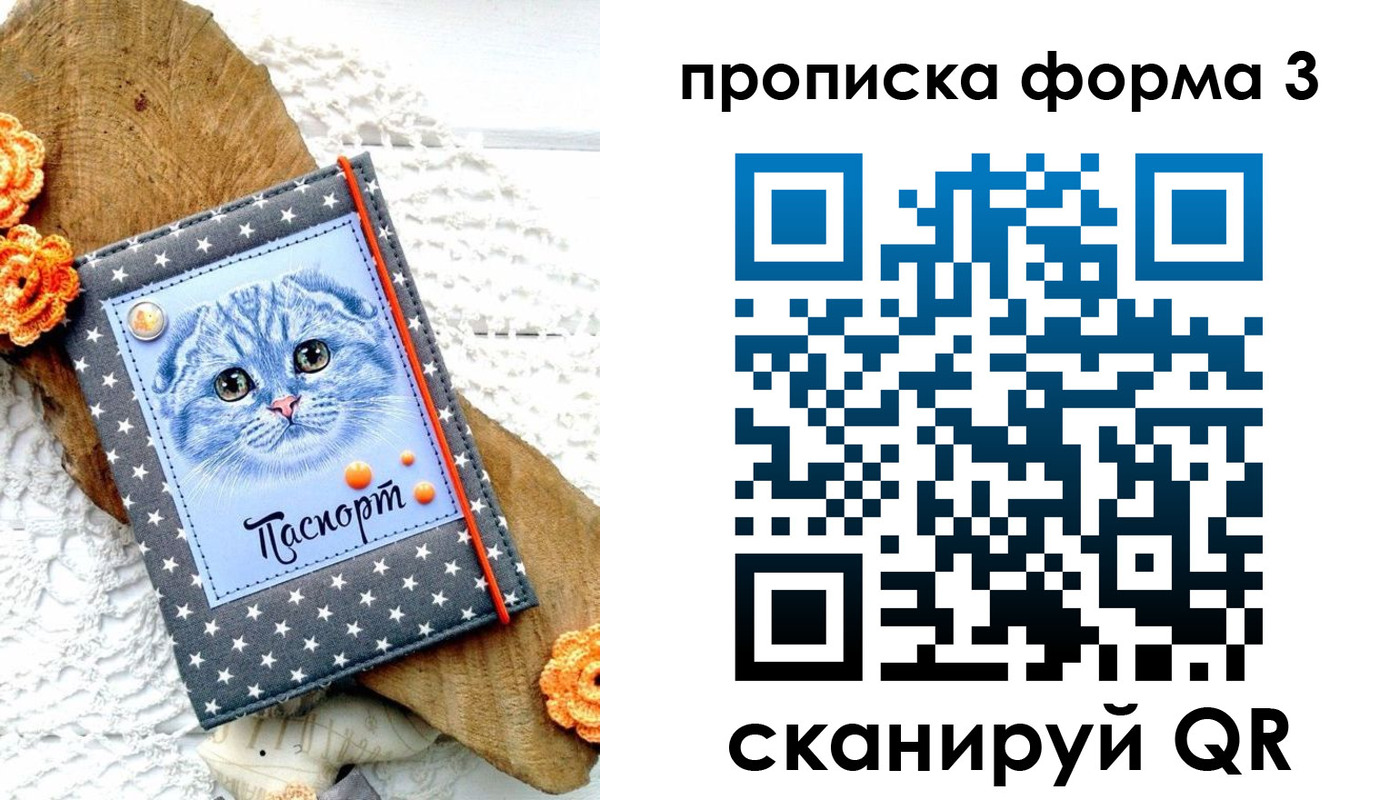 прописка поиск в Черняховске